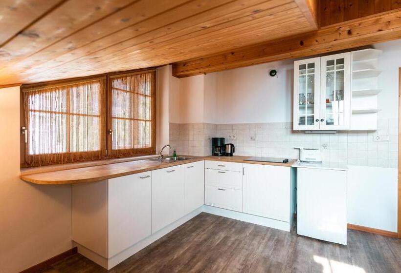 Апартаменты 3 Спальни, Residence Innerfarmerhof
