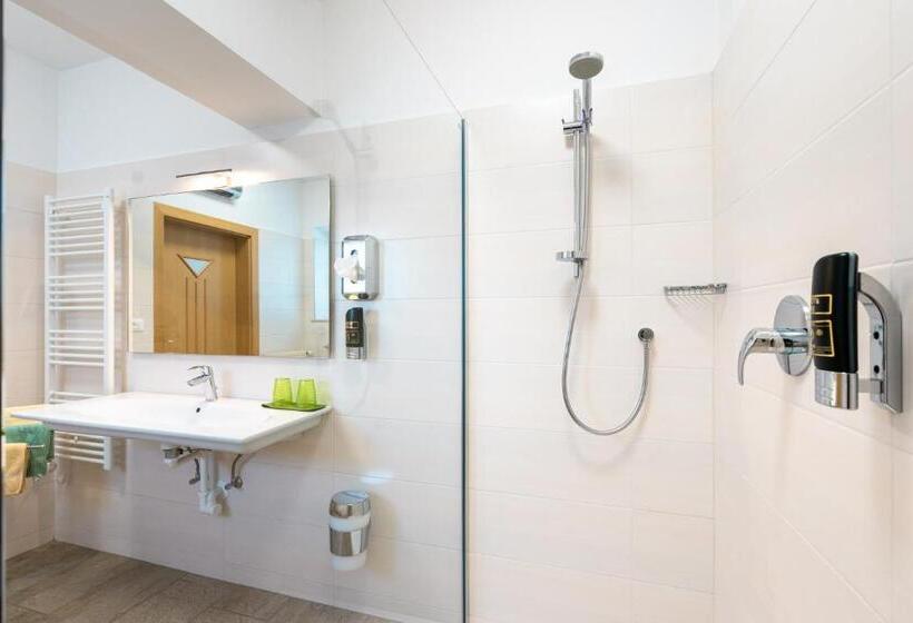 Апартаменты 1 Спальня, Residence Innerfarmerhof