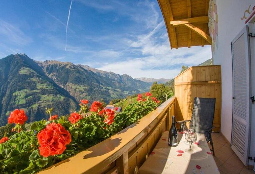 Апартаменты 2 Спальни, Appartements Verdinserhöhe