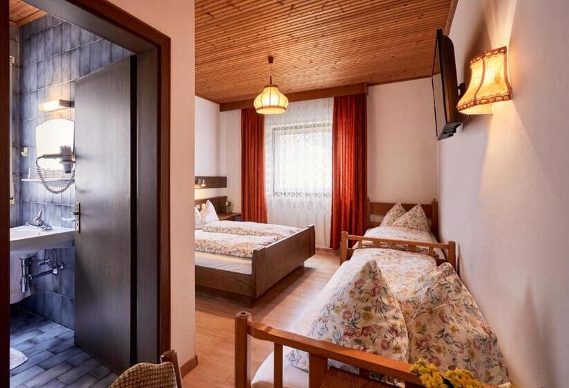 이코노미 트리플 룸, Ferienpension Zummüllerhof