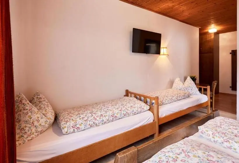 Economy Triple Room, Ferienpension Zummüllerhof