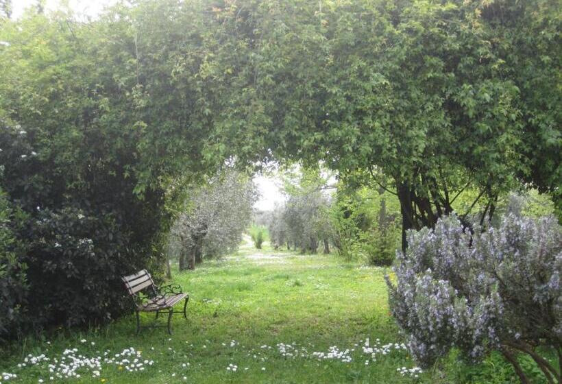 标准工作室, Agriturismo Cornieto