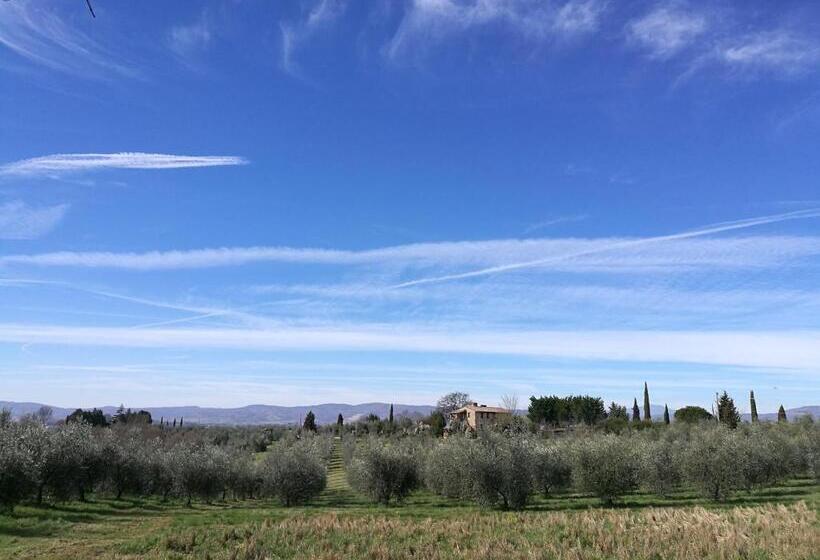 חדר סטודיו סטנדרד, Agriturismo Cornieto