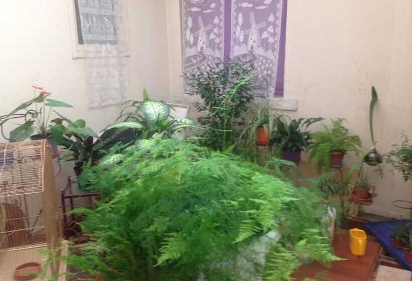 스탠다드 룸, Lafayette