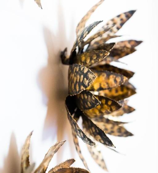 자쿠지 스위트, Ferret Vigne Villa Chambres D Hôtes