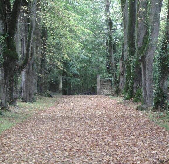 수피리어 룸, Hermitage St Roch