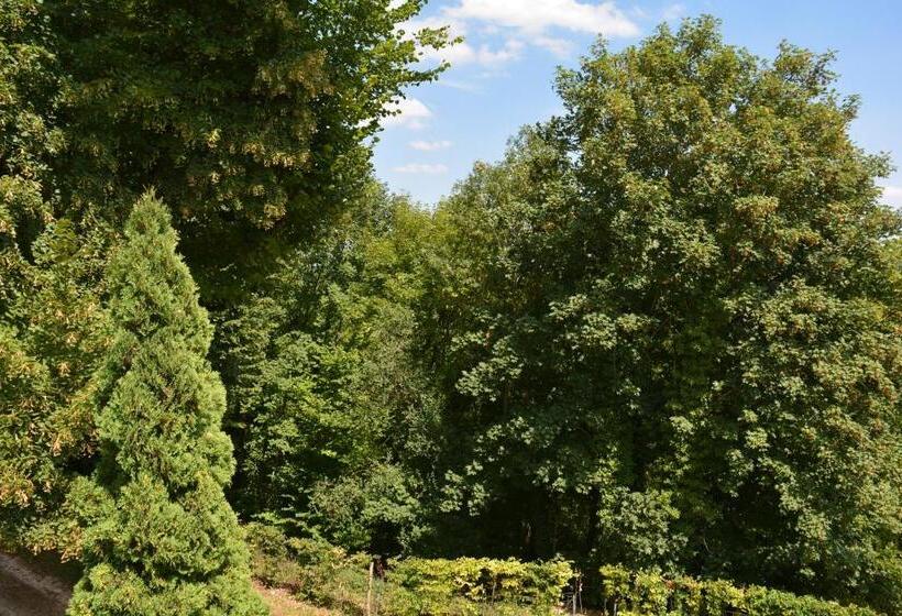 수피리어 룸, Hermitage St Roch