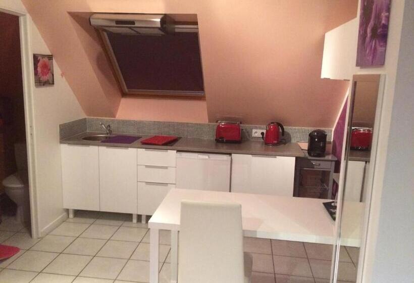 Студия Superior, L Eden Orly Aéroport