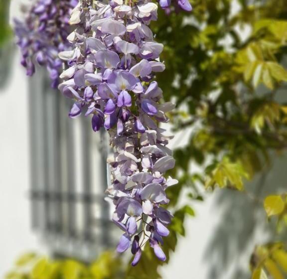 חדר סטנדרט, La Ruette Aux Loups