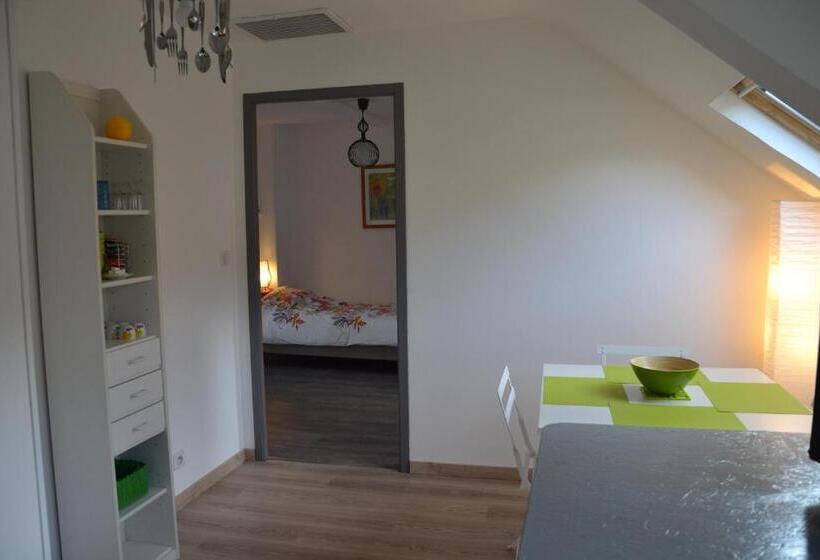 آپارتمان 1 خوابه, Mère Elvira