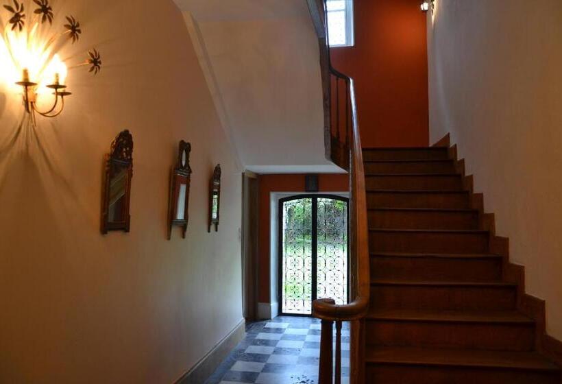 آپارتمان 1 خوابه, Mère Elvira