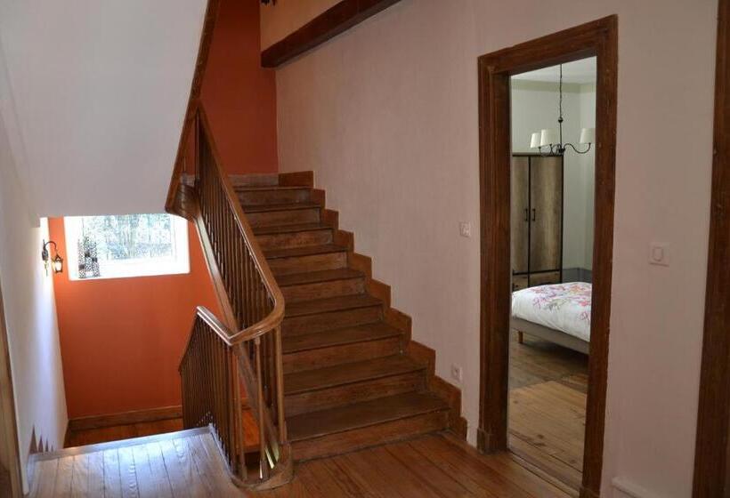 اتاق استاندارد, Mère Elvira