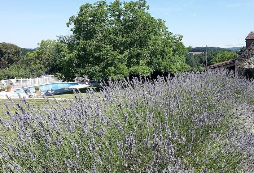 غرفة قياسية مزوَّدة بتراس, Le Clos Lascazes Maison D Hôtes