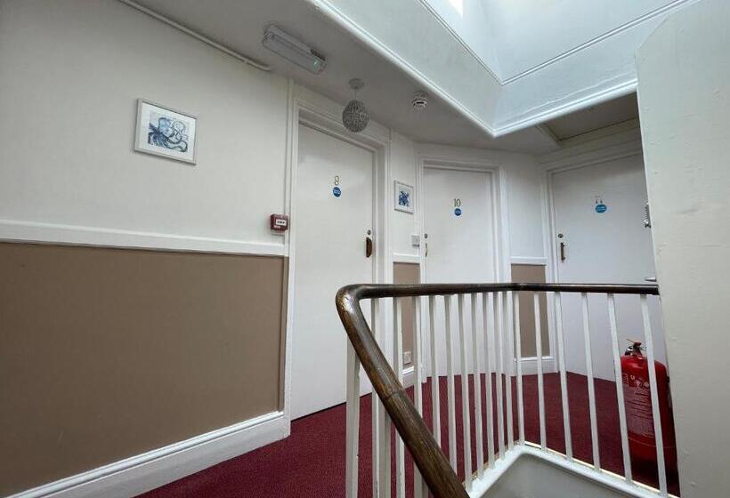 スタンダードルーム, Bon Ami