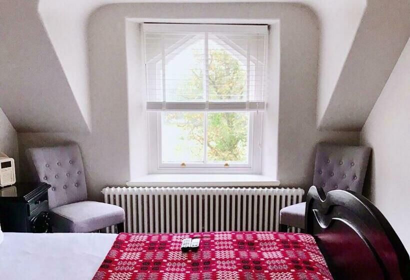 חדר דחוקס עם מיטת קינג, Olif