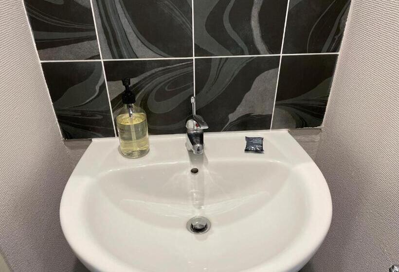 غرفة قياسية مطلّة علي البحيرة, The Shore House