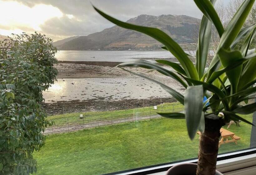 غرفة قياسية مطلّة علي البحيرة, The Shore House