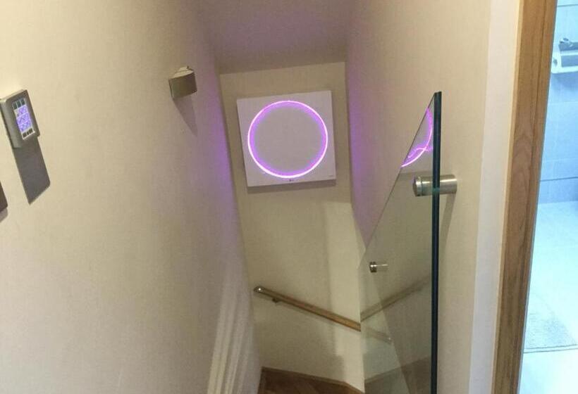 １ベッドルームアパートメント, York Apart