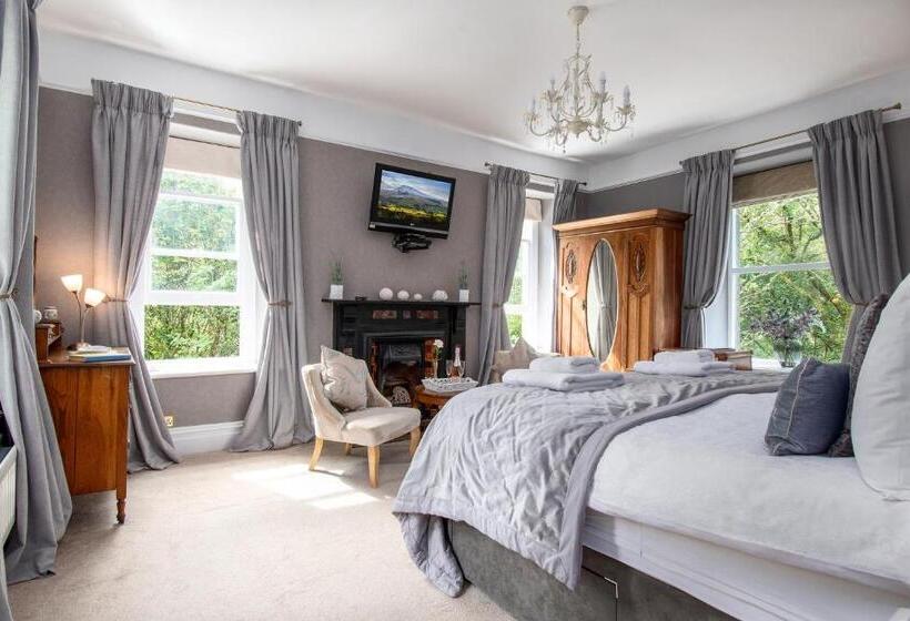 디럭스 룸 킹사이즈 침대, Afon Rhaiadr Country House