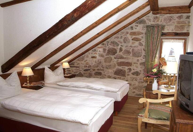 舒适型房间, Historisches Genusshotel Löwen