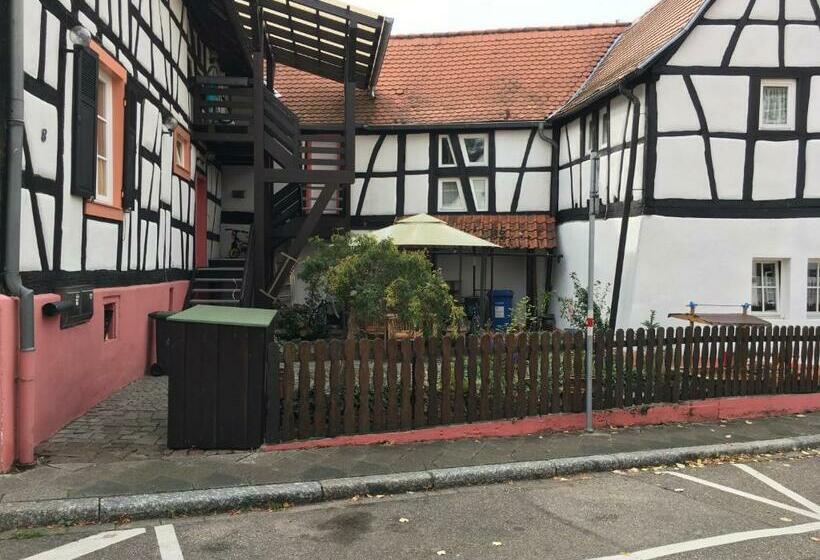 اتاق استاندارد با سرویس بهداشتی مشترک, Gästehaus Windheim