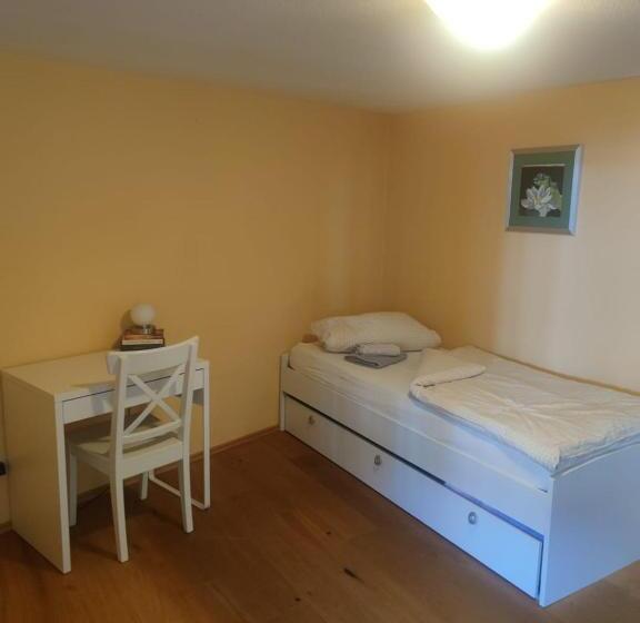 اتاق استاندارد با سرویس بهداشتی مشترک, Gästehaus Windheim