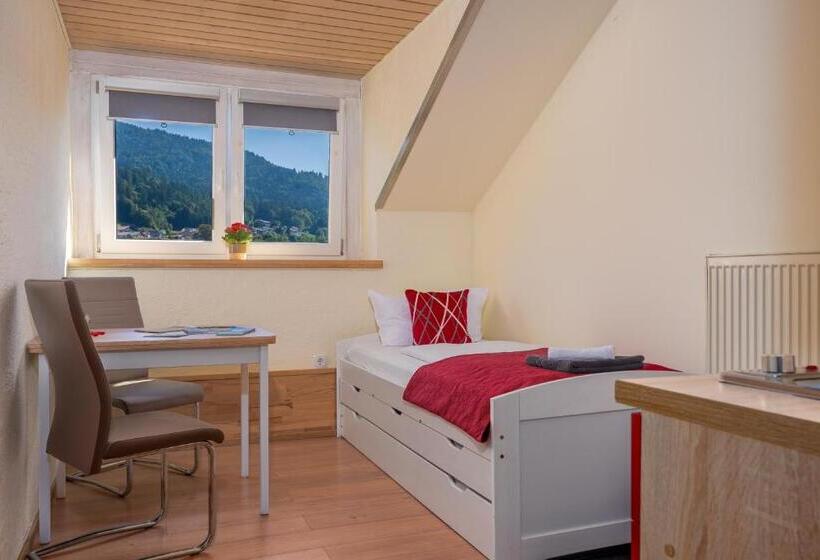 Апартаменты 1 Спальня с Балконом, Pension Bayerwald