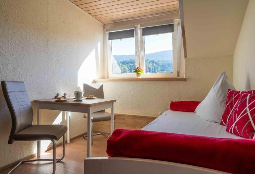 Апартаменты 1 Спальня с Балконом, Pension Bayerwald