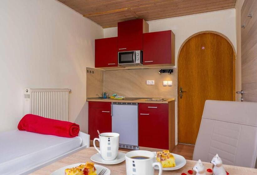 Апартаменты 1 Спальня с Балконом, Pension Bayerwald
