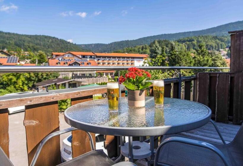 Номер Стандарт с Балконом, Pension Bayerwald