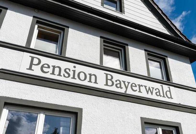 Апартаменты 1 Спальня, Pension Bayerwald