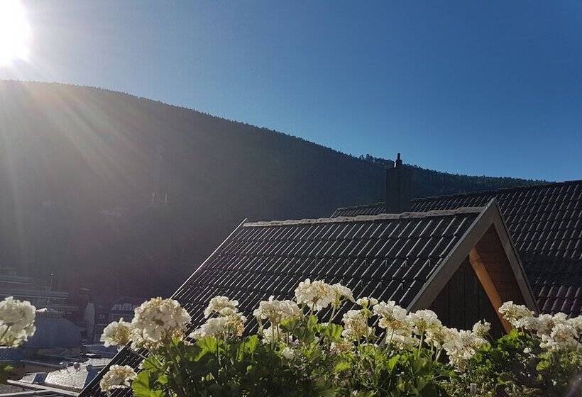 Четырехместный Номер Deluxe, Pension Silberburg Bad Wildbad