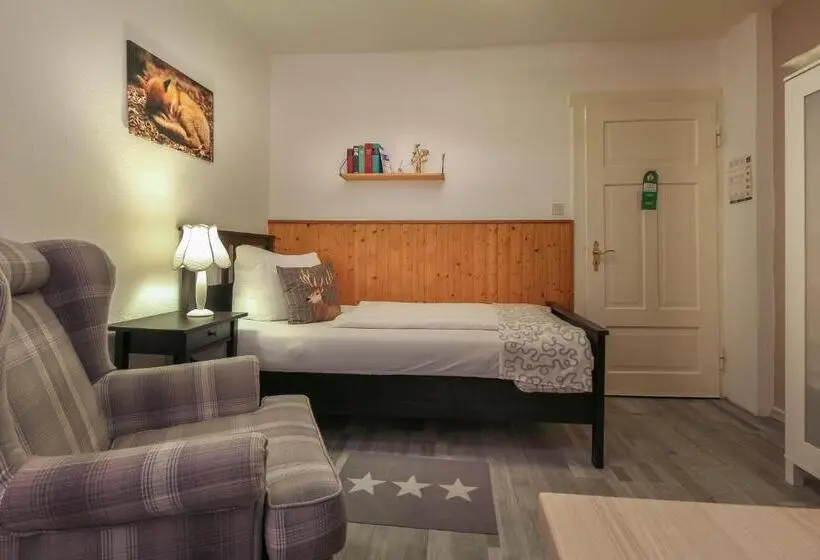 スタンダードシングルルーム, Pension Trautheim   Am Stadtpark