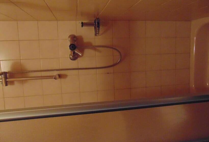 חדר סטנדרט יחיד, Gasthaus Rebstock