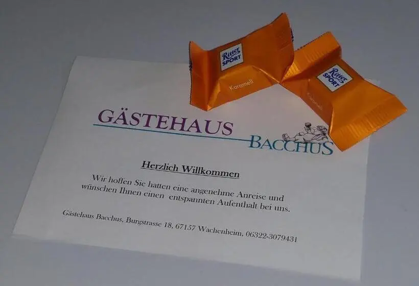 エコノミールーム, Gästehaus Bacchus