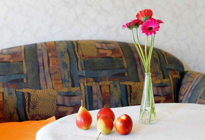 Апартаменты 1 Спальня, Gästehaus Herrmann