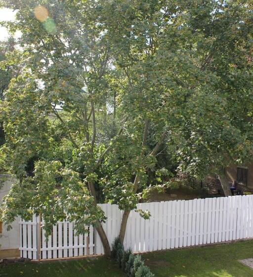 バルコニー付きスタンダードルーム, Pension Weber