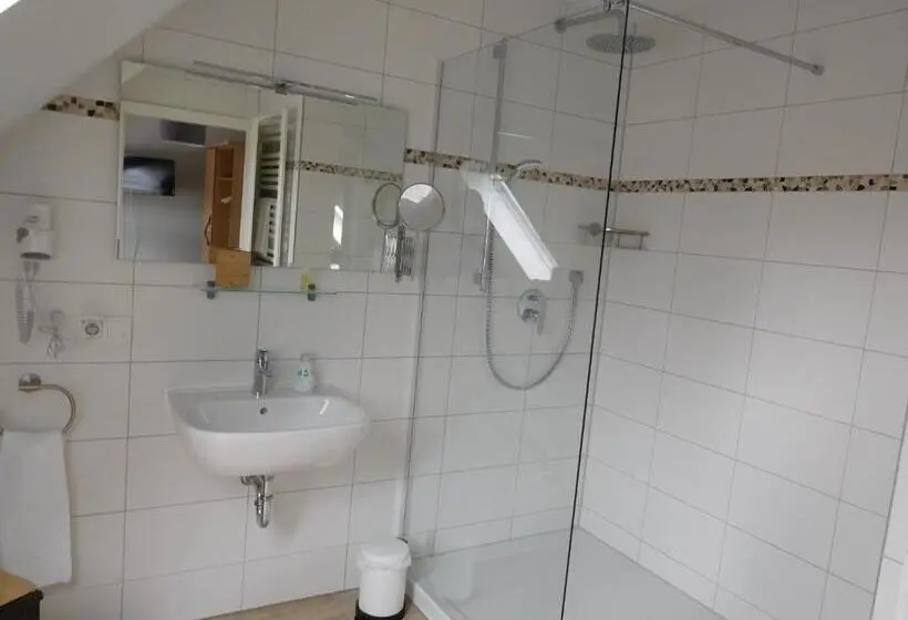 スーペリアシングルルーム, Inn Landgasthof Zur Gemütlichkeit