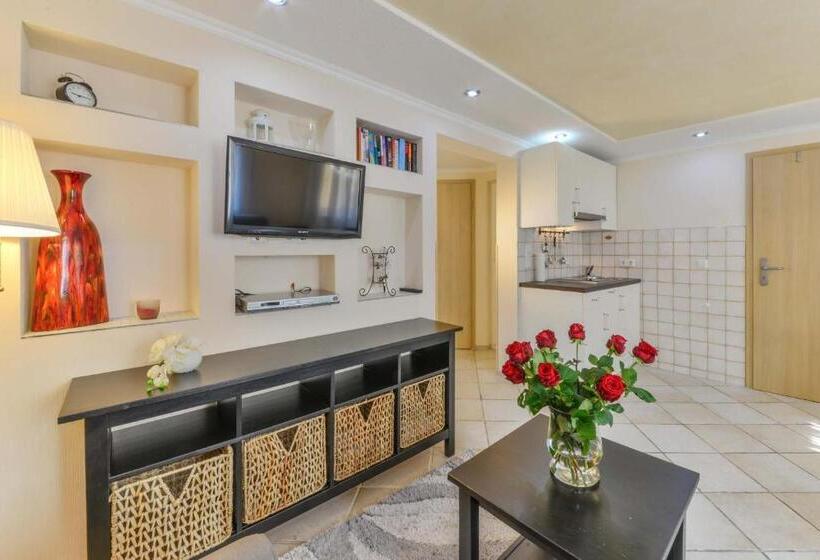 스탠다드 스튜디오, Apparthaus Pfeifer