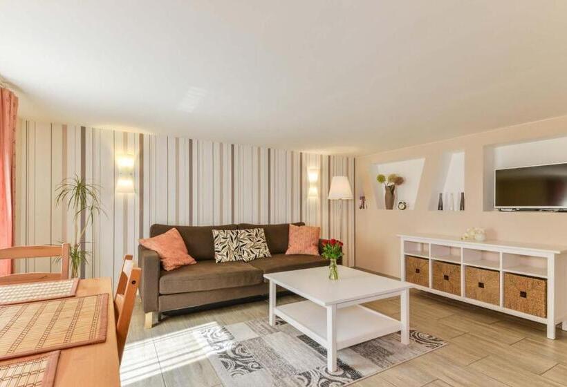 스탠다드 스튜디오, Apparthaus Pfeifer