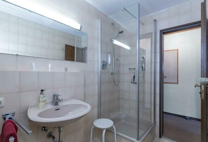 Номер Стандарт с Балконом, Pension Alpenstern