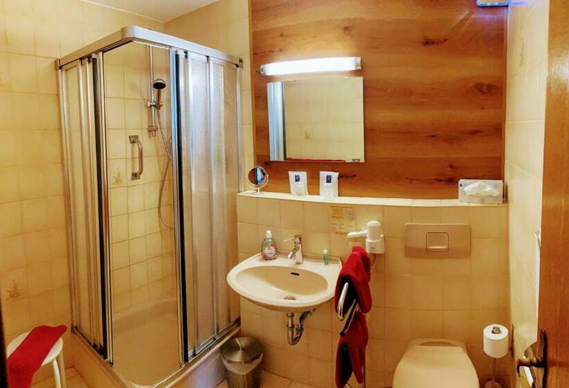 Номер Стандарт с Балконом, Pension Alpenstern