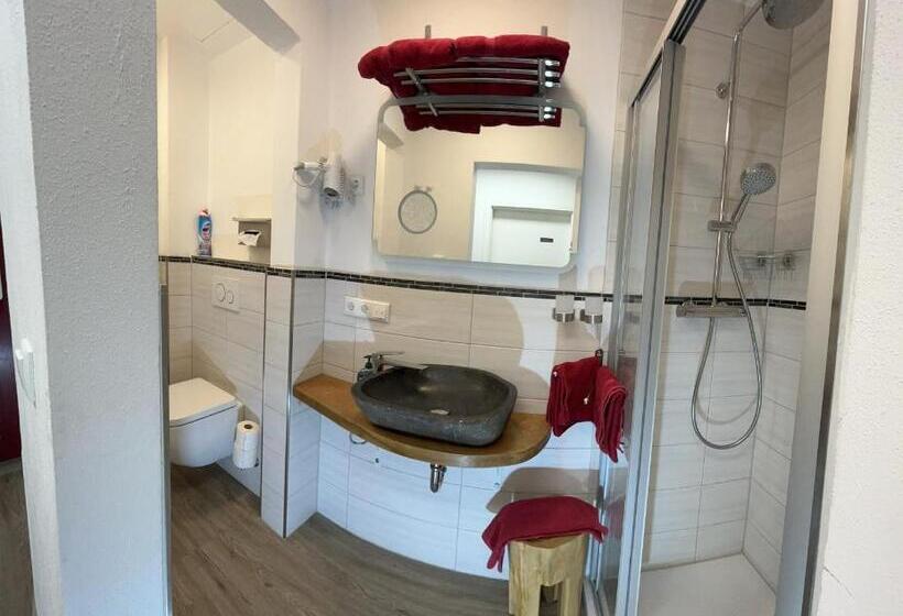 Апартаменты 1 Спальня, Pension Alpenstern