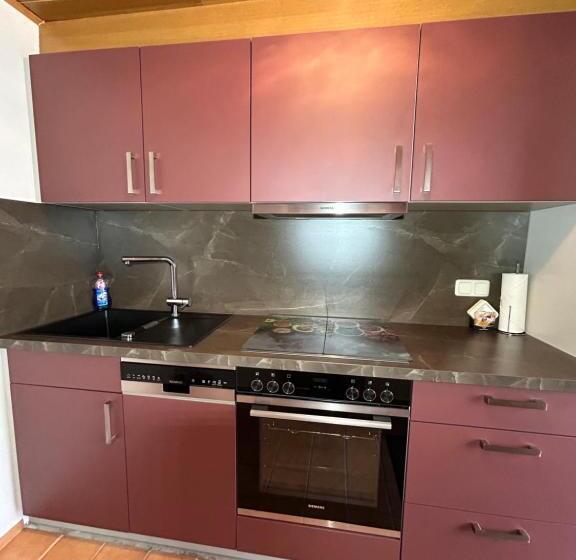 Апартаменты 1 Спальня, Pension Alpenstern