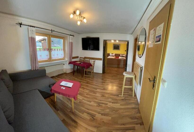Апартаменты 1 Спальня, Pension Alpenstern