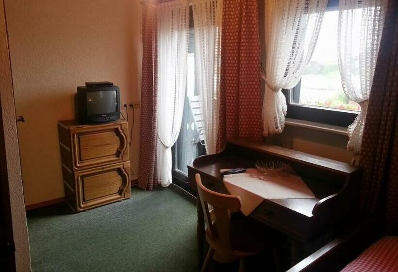 Quarto Estandar Individual com Sacada, Pension Bergblick