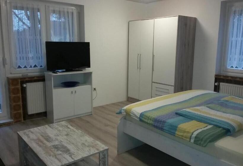 آپارتمان 1 خوابه با تراس, Pension Haus Erika