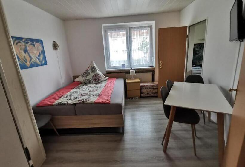 آپارتمان 1 خوابه با تراس, Pension Haus Erika