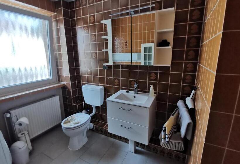 آپارتمان 1 خوابه با تراس, Pension Haus Erika