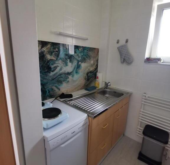 آپارتمان 1 خوابه با تراس, Pension Haus Erika